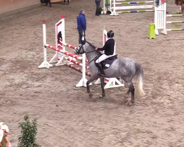 Reitturnier Leck 2024