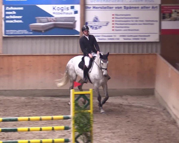 Reitturnier Leck 2024