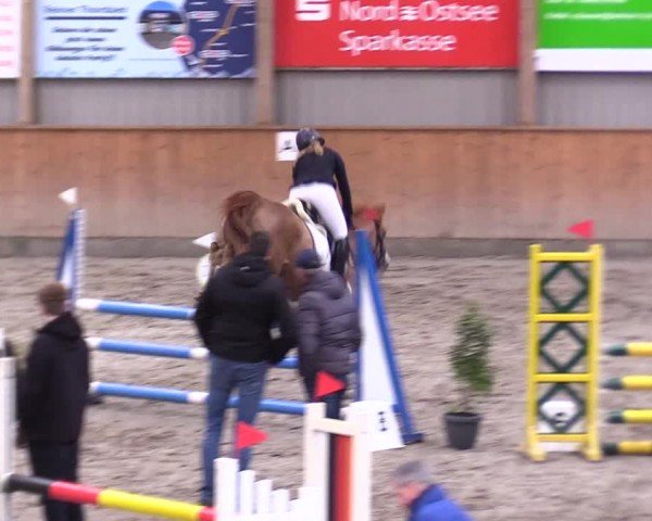 Reitturnier Leck 2024