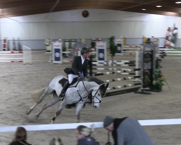 Reitturnier Lentzke - Reitanlage Krehl 2024