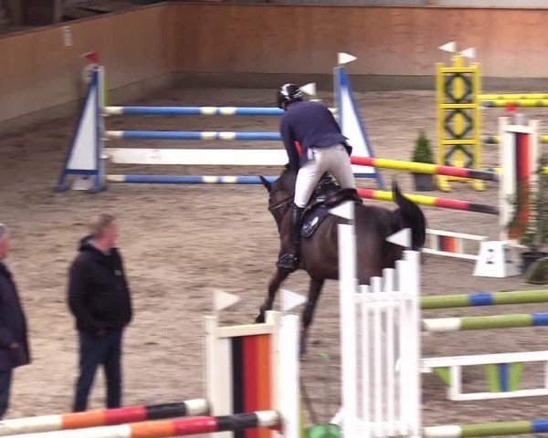Reitturnier Leck 2024