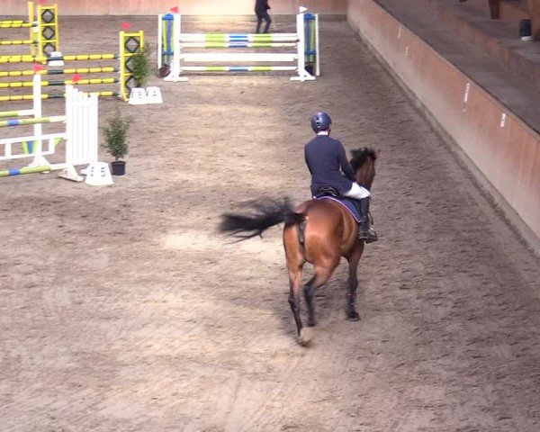 Reitturnier Leck 2024