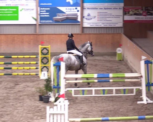 Reitturnier Leck 2024