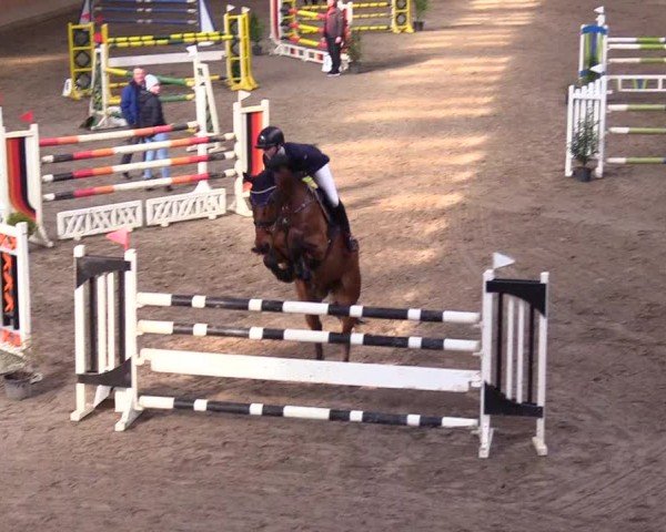 Reitturnier Leck 2024