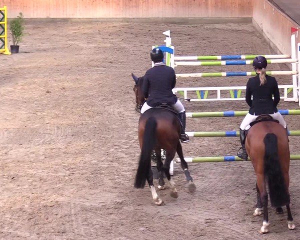 Reitturnier Leck 2024