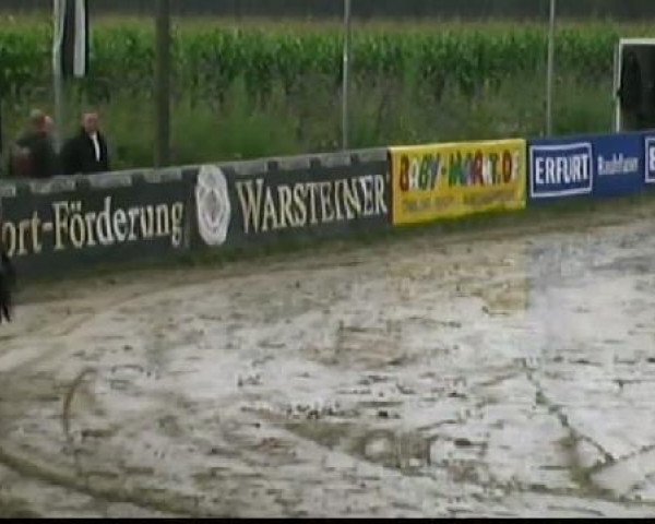 Waltrop 2011