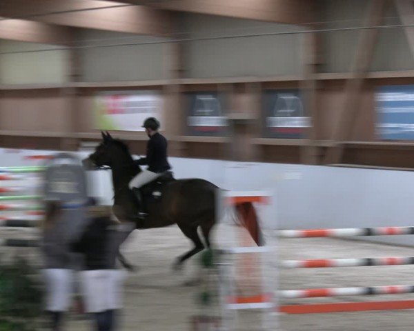 Reitturnier Lentzke - Reitanlage Krehl 2024