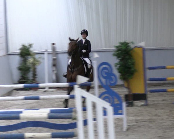 Reitturnier Lentzke - Reitanlage Krehl 2024