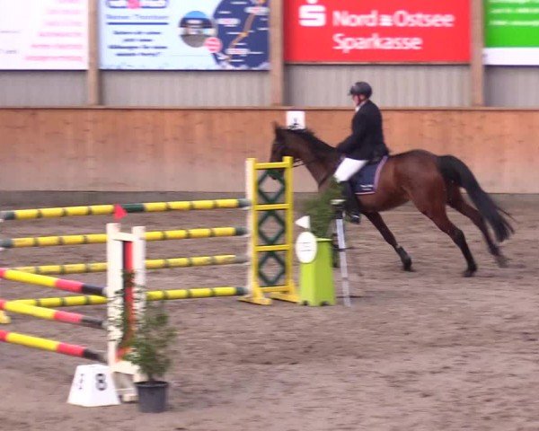 Reitturnier Leck 2024