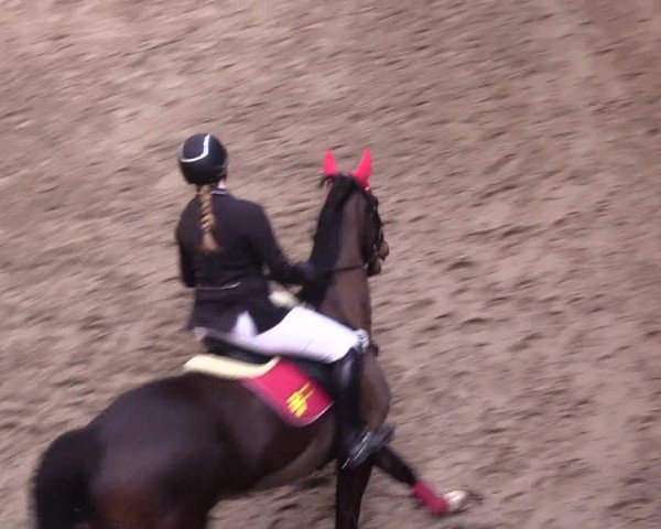 Reitturnier Leck 2024