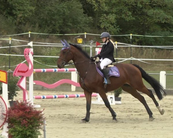 Reitturnier Forst 2021