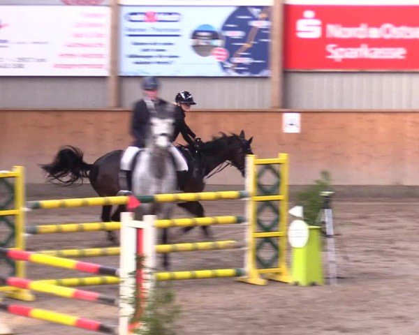 Reitturnier Leck 2024