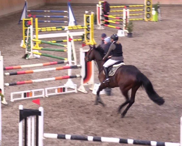 Reitturnier Leck 2024