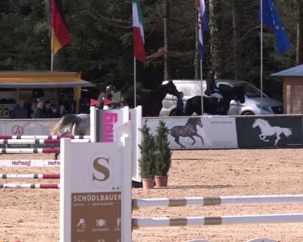 Reitturnier Ranshofen - Braunau am Inn 2024