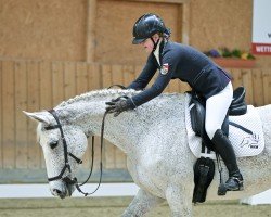 jumper ORS Landsdown (Irish Sport Horse, 2015, from Lord Lancer)