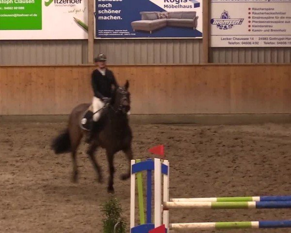 Reitturnier Leck 2024