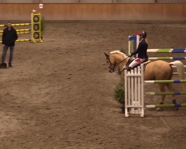 Reitturnier Leck 2024