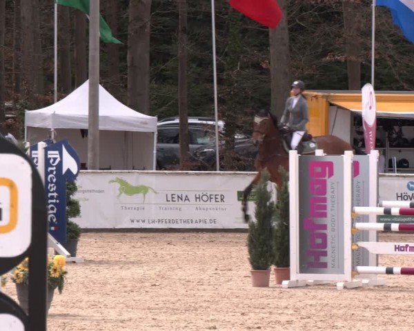 Reitturnier Ranshofen - Braunau am Inn 2024