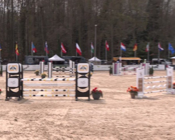 Reitturnier Ranshofen - Braunau am Inn 2024