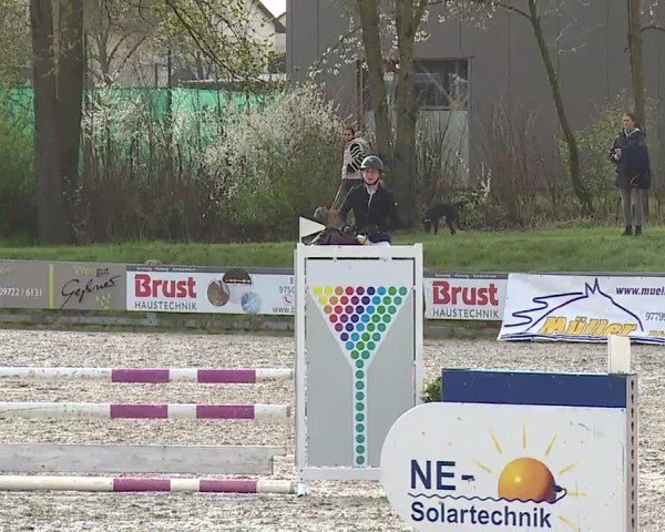 Reitturnier Grafenrheinfeld/Ufr. 2024