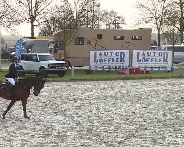 Reitturnier Grafenrheinfeld/Ufr. 2024