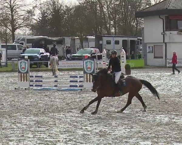 Reitturnier Grafenrheinfeld/Ufr. 2024