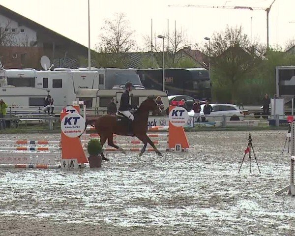 Reitturnier Grafenrheinfeld/Ufr. 2024