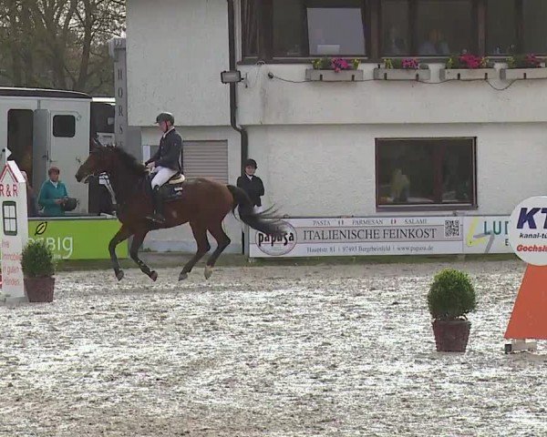 Reitturnier Grafenrheinfeld/Ufr. 2024