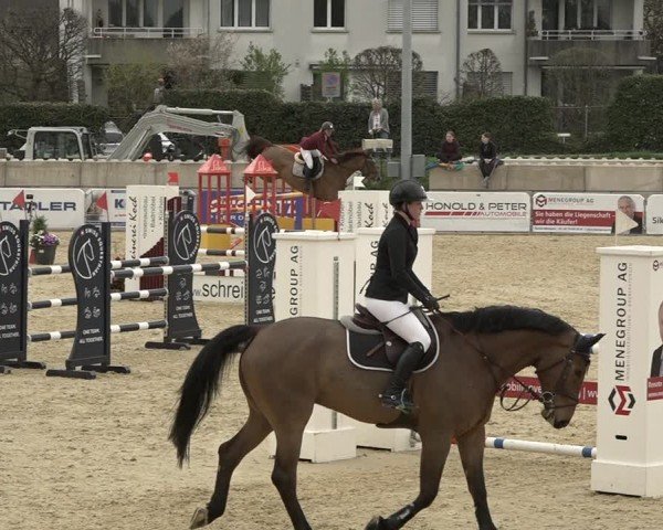 Reitturnier Amriswil 2024