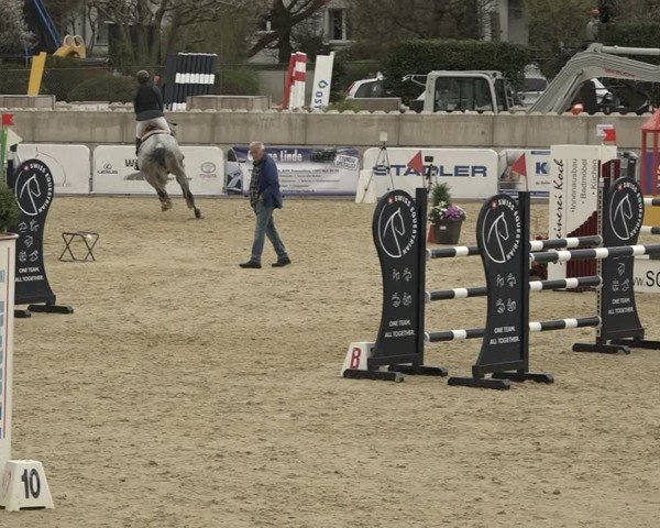 Reitturnier Amriswil 2024
