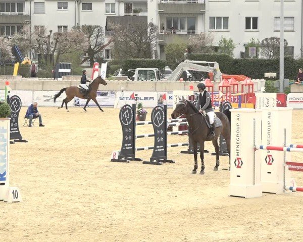 Reitturnier Amriswil 2024