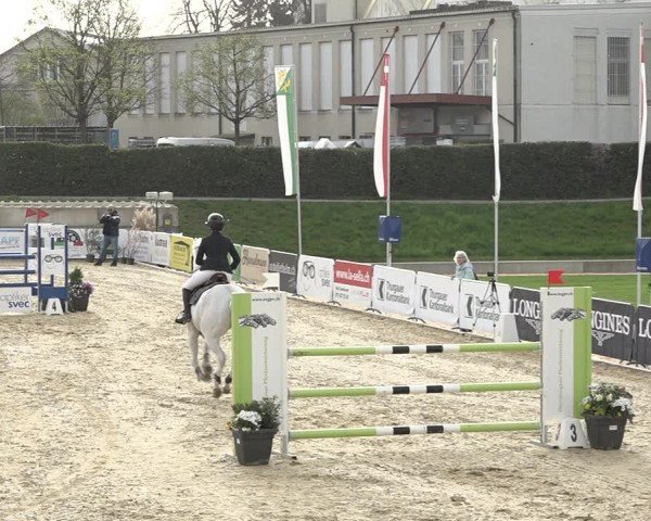 Reitturnier Amriswil 2024