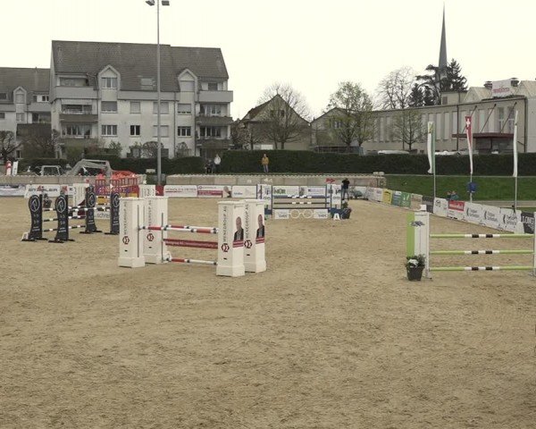 Reitturnier Amriswil 2024
