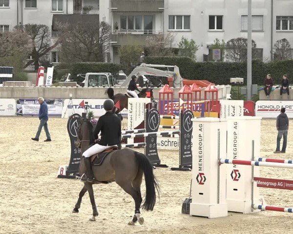 Reitturnier Amriswil 2024