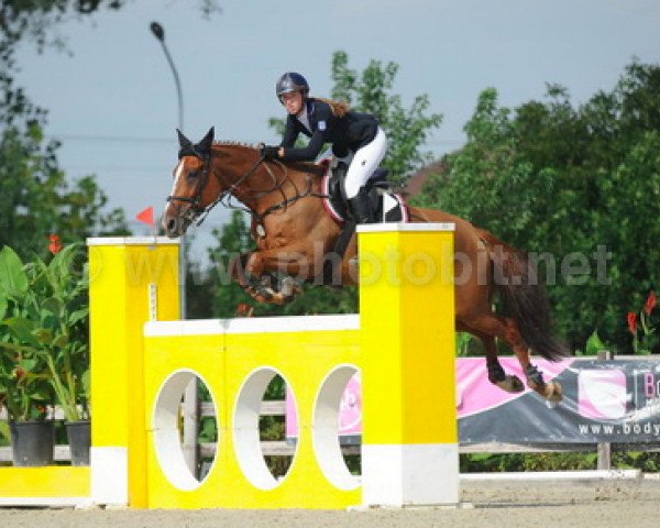 broodmare Arabella II (KWPN (Royal Dutch Sporthorse), 2005, from Silverstone)
