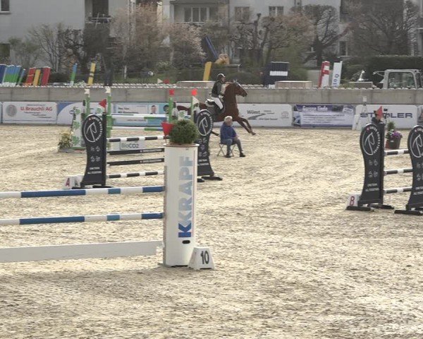 Reitturnier Amriswil 2024