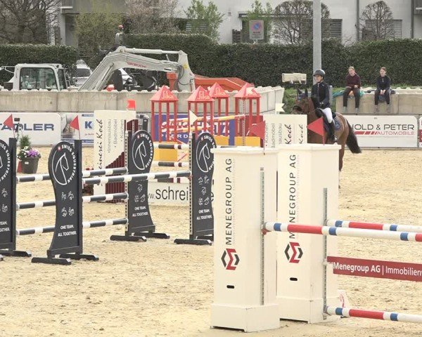 Reitturnier Amriswil 2024
