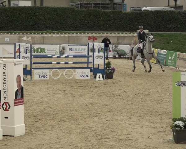Reitturnier Amriswil 2024