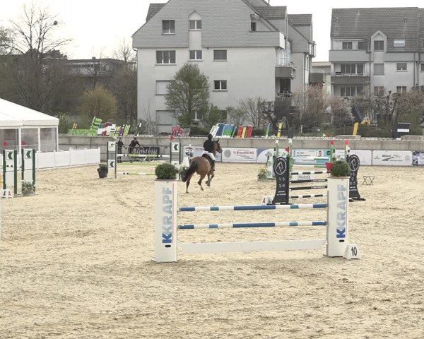 Reitturnier Amriswil 2024