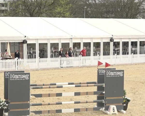 Reitturnier Amriswil 2024