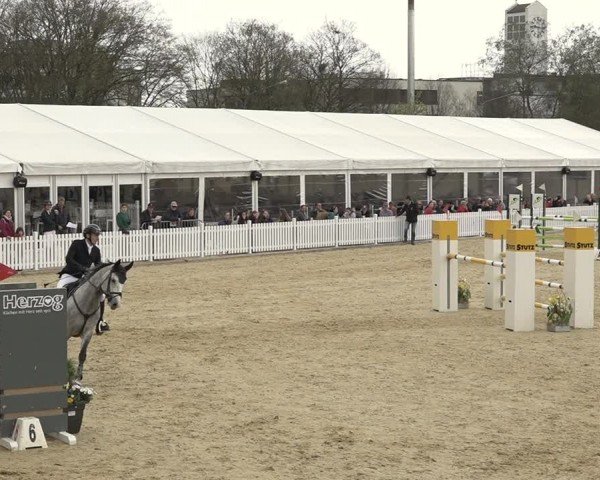 Reitturnier Amriswil 2024