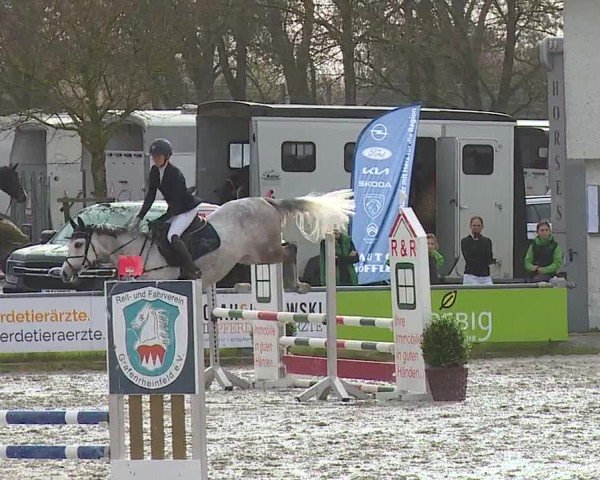 Reitturnier Grafenrheinfeld/Ufr. 2024