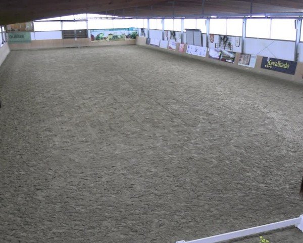 Reitturnier Borgholzhausen-Westbarthausen 2024