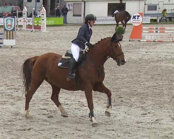 Reitturnier Grafenrheinfeld/Ufr. 2024
