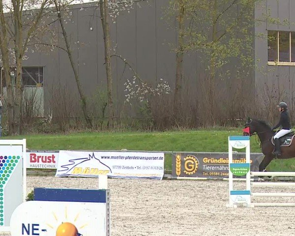 Reitturnier Grafenrheinfeld/Ufr. 2024