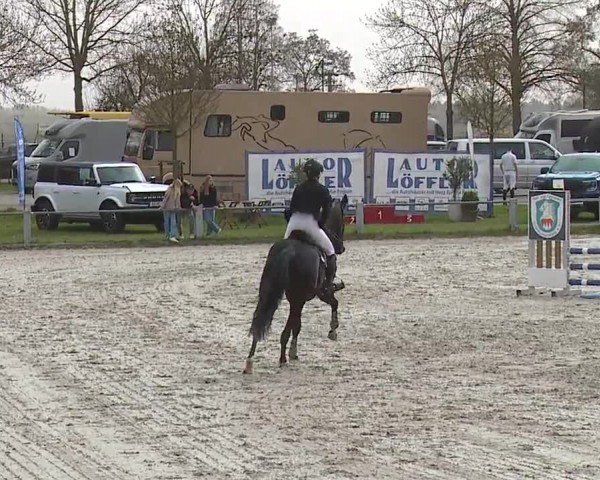 Reitturnier Grafenrheinfeld/Ufr. 2024