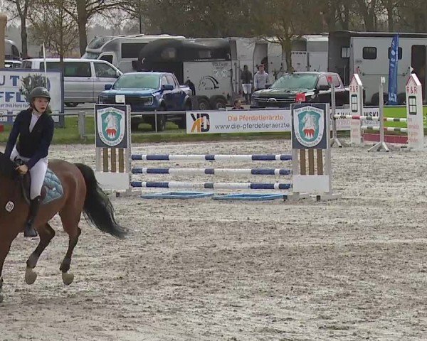 Reitturnier Grafenrheinfeld/Ufr. 2024