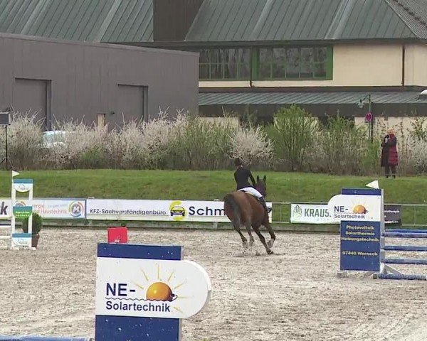 Reitturnier Grafenrheinfeld/Ufr. 2024