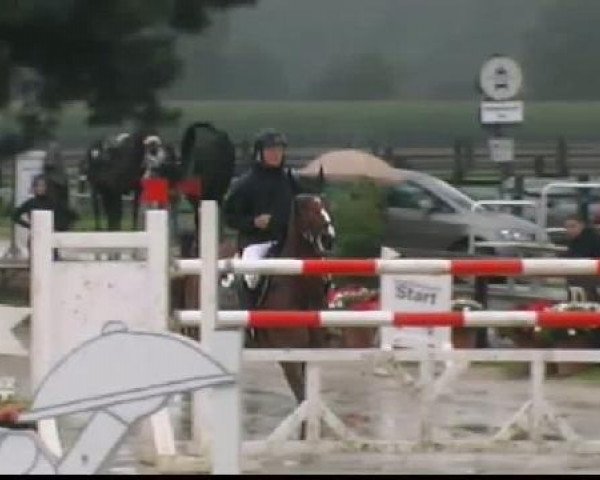 Waltrop 2011