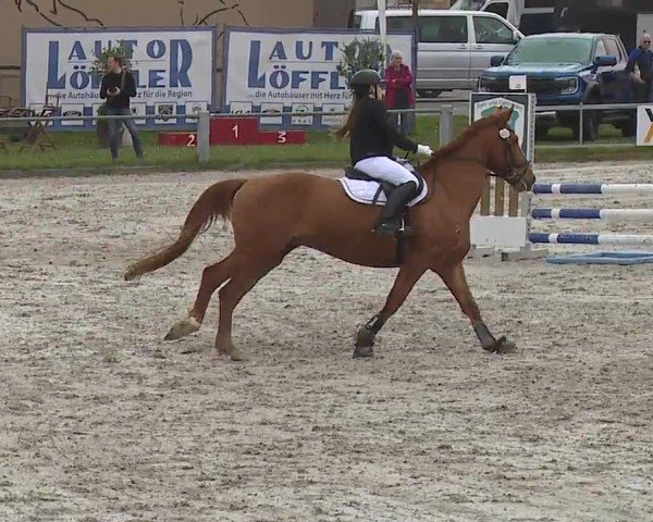 Reitturnier Grafenrheinfeld/Ufr. 2024